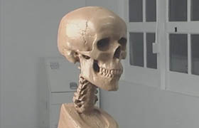 ​AnatomyTools - Mastering The Human Head
