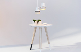 Lamp and table decor and Dodo