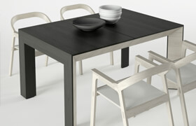 Bauline Perspectiva Diade