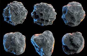 Rock FM Procedural Presets  Constantin Paschou