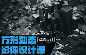 【正版】Zaoeyo（曾潇霖）-方形动态影像设计课【动态设计】【芯片设计】【实名认证】