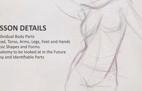 Joshwmc - Learning Beginner Figure Drawing Fundamentals - Construction of the Body Parts