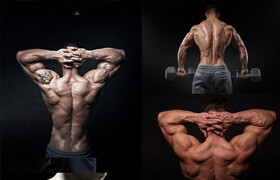Cubebrush - Hector - Anatomy Vol 5 - Back Of The Body - 参考照片