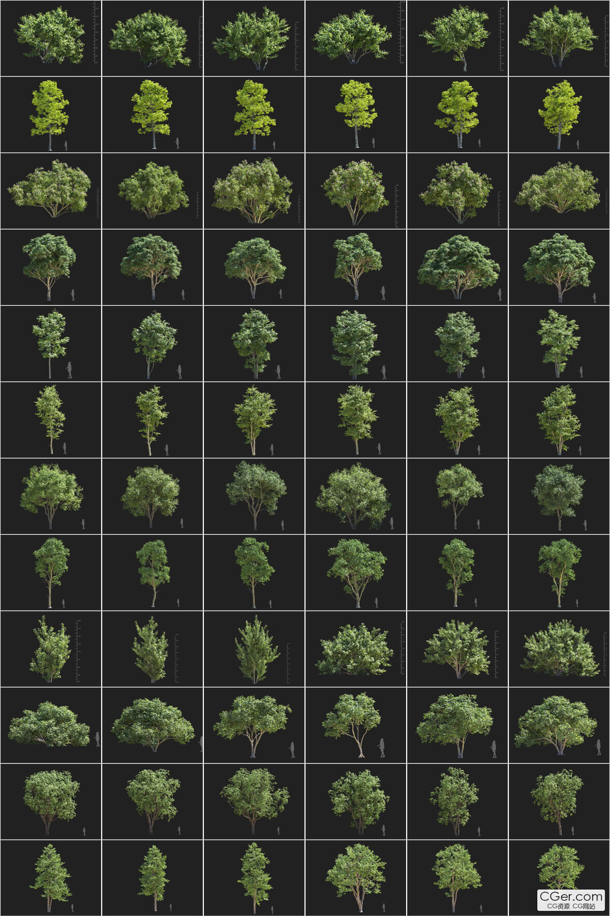 high.jpg