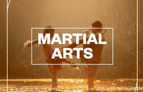 Blastwave FX - Martial Arts - 声音素材
