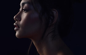 Nathan Elson - Cinematic Capture One Styles - 调色预设