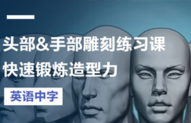 【正版】Niko-头部&手臂解剖学练习课程合集【英语中字】