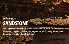 Megascans- Sandstone(3d assets+plants+atlas)