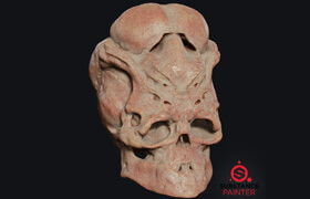 Artstation - Organic Pack 17+ Smart Materials - 材质