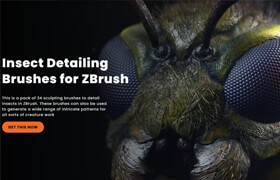 Zbrushguides - Insect Detailing Brushes for ZBrush - 笔刷
