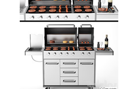 Barbecue 23