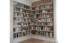 Bookshelves with decor