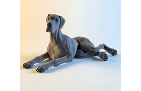 Dane