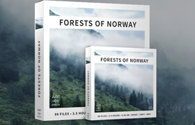 Just Sound Effects - Forests of Norway