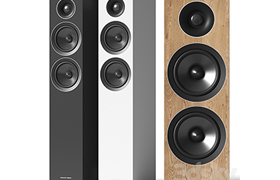 Acoustic Energy AE 309