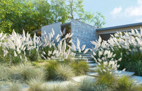 Maxtree - Plant Models Vol 139 - full
