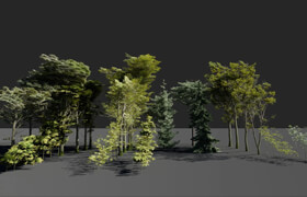 Tree Asset Pack Nr.1 - for Blender