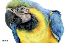 Artists & Illustrators How To Guides - Drawing Animals, Vol 5 2025 (PDF) - book