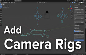 Add Camera Rigs