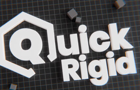 Quick Rigid