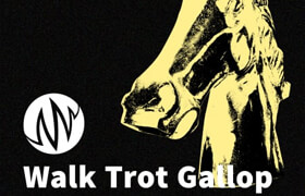PSE The Producer's Library Walk Trot Gallop  WAV - 声音素材