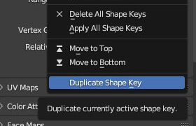 Duplicate Shape Key