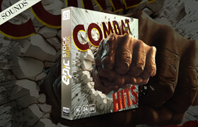 Combat Hits