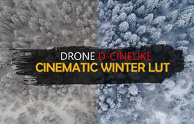 GNProduction - D-Cinelike Drone Winter Lut