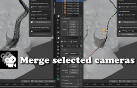 Merge Selected Cameras