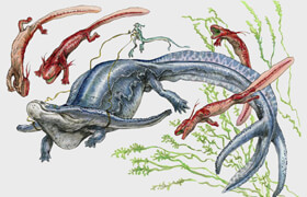 Schoolism - Creature Anatomy with Terryl Whitlatch