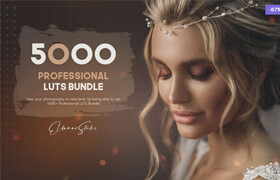 Eldamar Studio - 5000+ Professional LUTs Bundle - lut