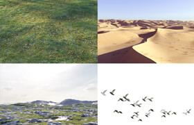 Nouvelle Mesure Lab 3D Collection - 模型