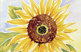 Take 3 Colours Watercolour Flowers Start to Paint With 3 Colours, 3 Brushes and 9 Easy Projects (EPUB) - book