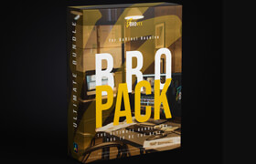 BroVFX - ULTIMATE BRO PACK