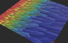 Levelup.Digital - Feather Creation - Romain Lemaire