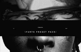 Payhip - Furys Preset Pack