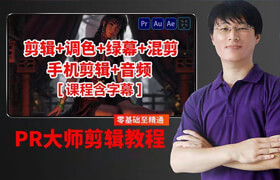 【正版】30天快速上手Pr创意剪辑视频教程（含手机剪映课程，含字幕）