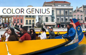 REVisionFX Color Genius Plus