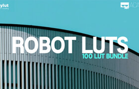 RoBot EasyLut 100 Bundle LUTs