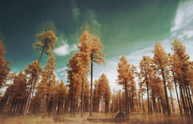 Skillshare - Infrared Photography Understanding, Capturing, and Editing