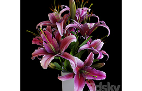 Lily bouquet