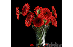 RED GERBERA