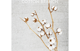 cotton threads