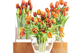 Set of spring bouquets 3 Tulips, flower, orange, vase, sprin