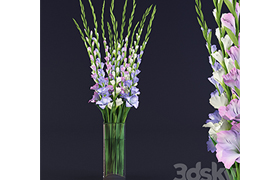 gladiolus bouquet in glass vase