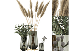 Plants in Echasse Vases