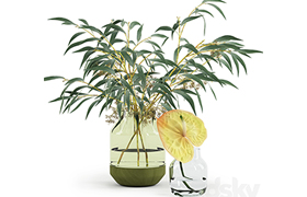 Eucalyptus & Anthurium in Muutos vases