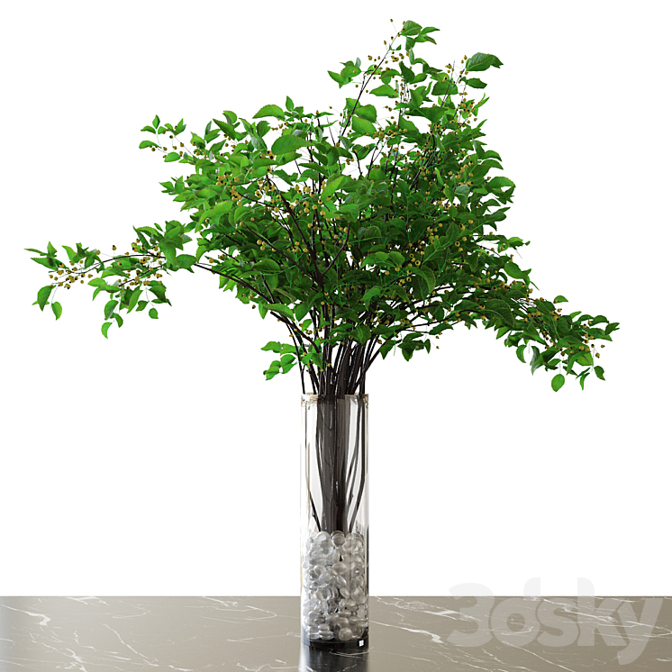 678794.5805449509845.jpg 678794.5805449509845.jpg