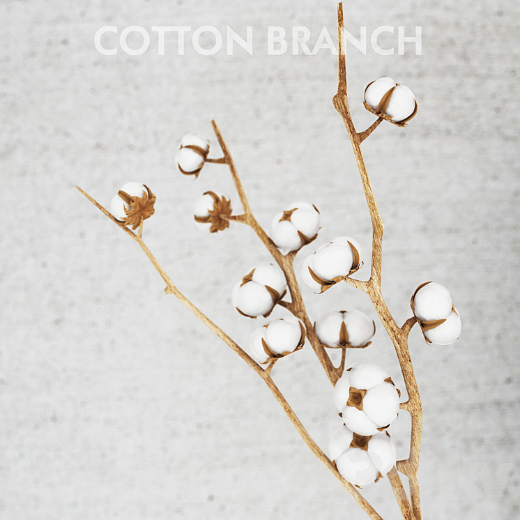 764444.584fc9411bf1b.jpg 764444.584fc9411bf1b.jpg