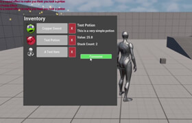 Udemy - Unreal Engine 5 - Core Item System and Inventory System
